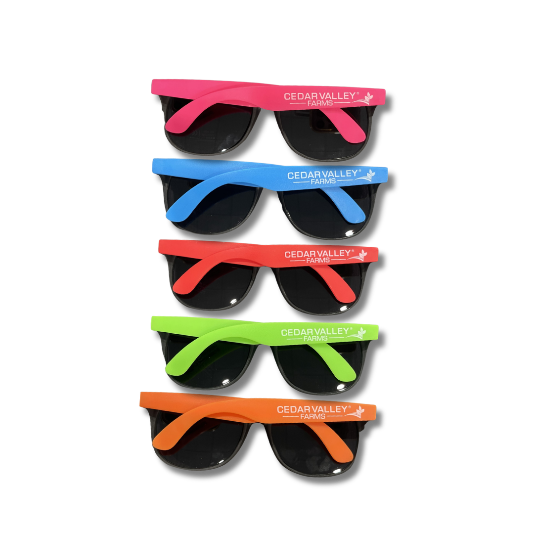CVW Sunglasses